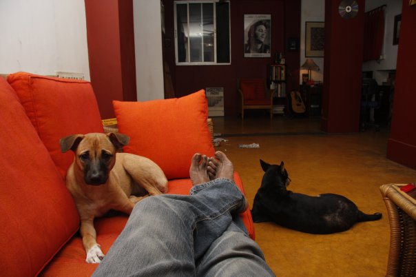 1910455_61076449071_1344970_n