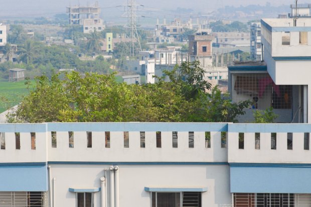 278576_126176804140902_2276950_o